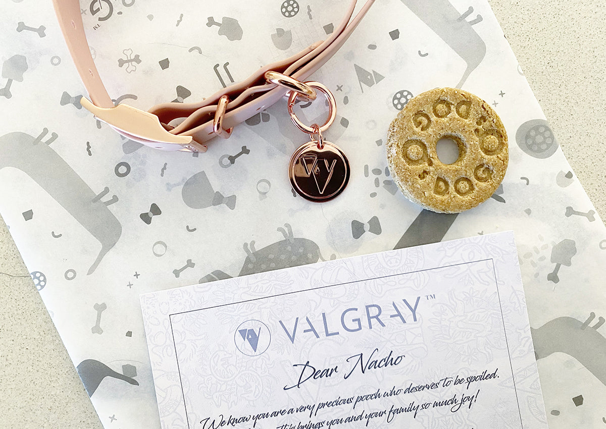 Valgray for Dogs premium dog accessory blog post image for 'Ideas for personalised Christmas gifts for dogs with Valgray'. Image shows a close-up shot of a luxury waterproof Valgray for Dogs blush pink collar with and rose gold personalised name tag.  