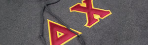 Delta Chi