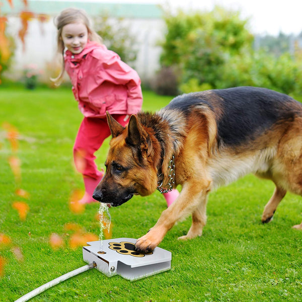 Dog automatic water fountain dispenser