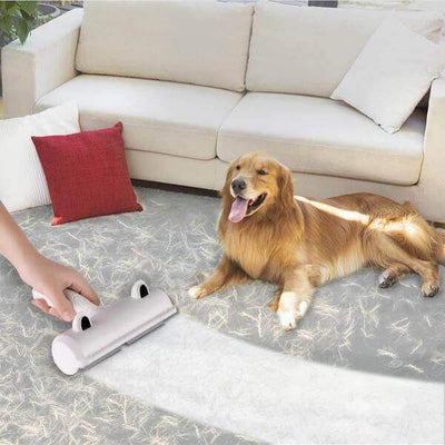 Ipet Roller Best Pet Hair Remover Ipetuniversal