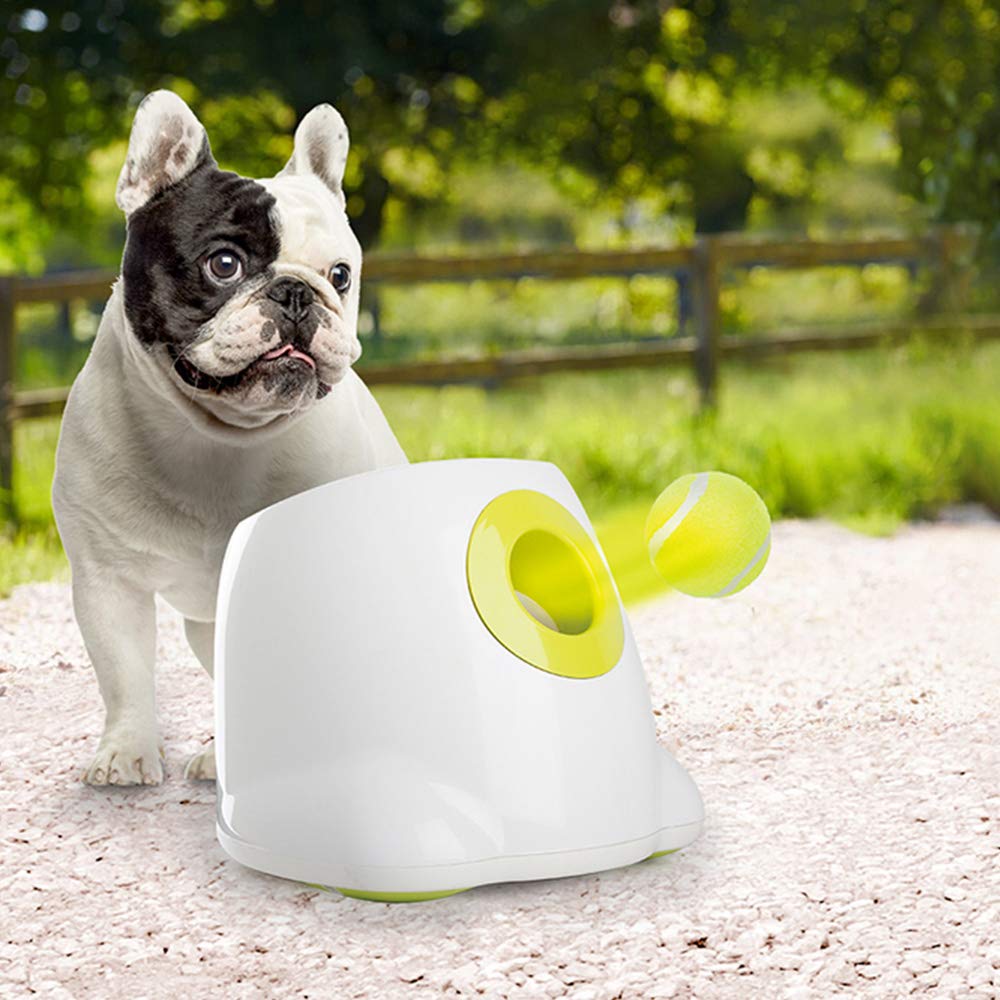 auto tennis ball launcher for dogs