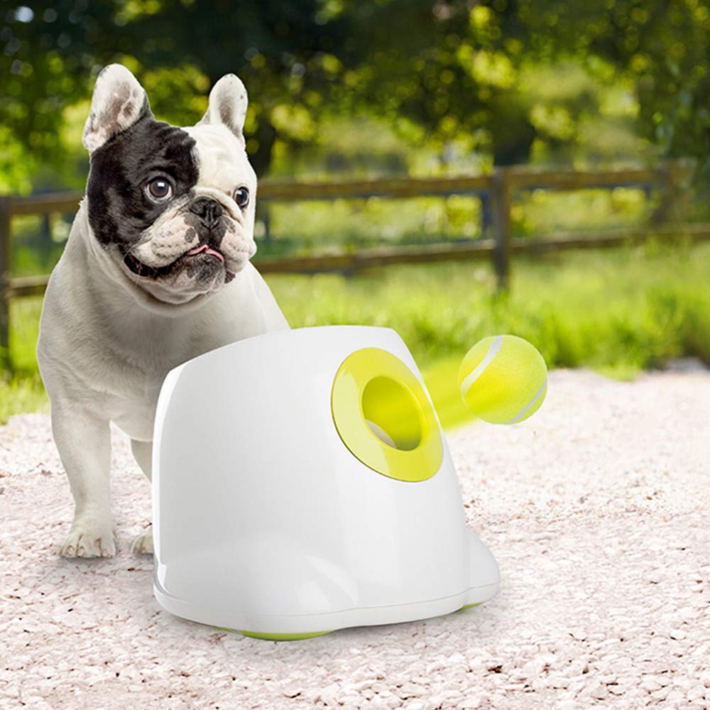 auto tennis ball thrower for dogs