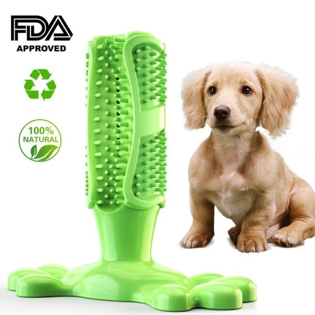 chewable toothbrush for dogs