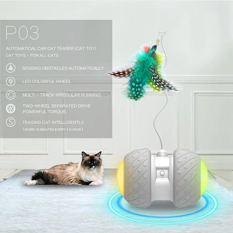 interactive cat toys