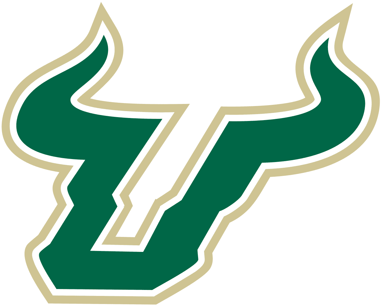 South florida bulls