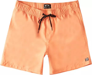 Billabong Boy's All Day Swim Trunks - Indi Surf