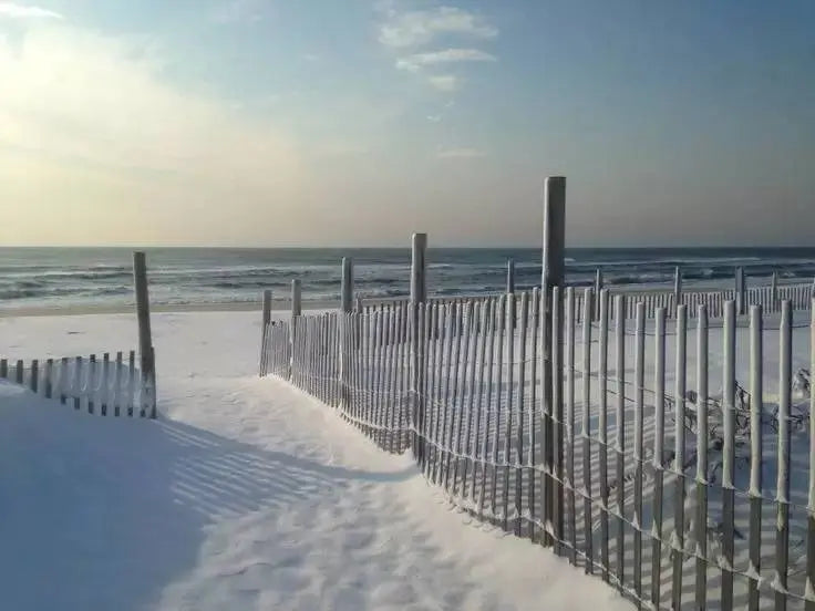 Island Beach State Park, New Jersey