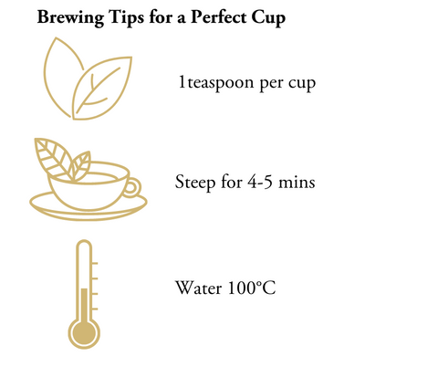 brewing instructions loose leaf lemongrass and ginger