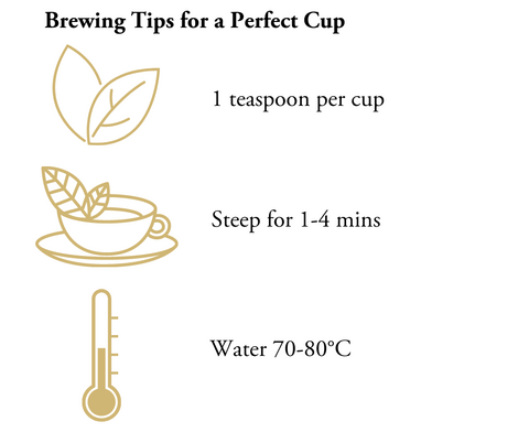 brewing instructions loose leaf white tea