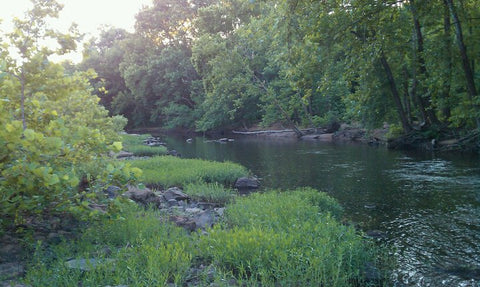 Outdoors in the Lake