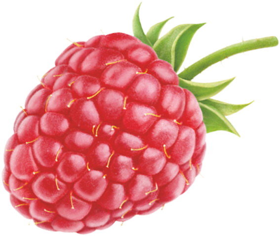 rasberry