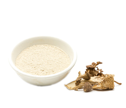 Porcini Mushroom Powder ǀ Porcini Powder