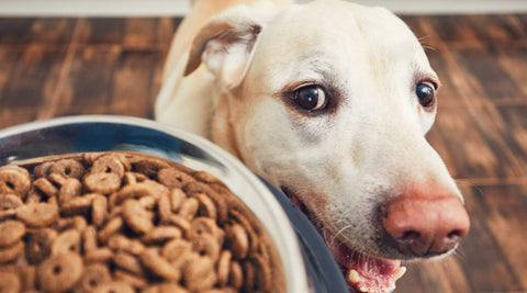 Futter für Ihr Haustier