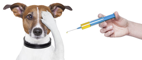 Importancia de las vacunas para mascotas