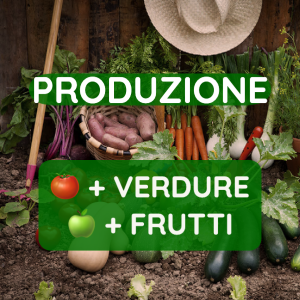 Olio di neem nutrione. Produzione più verdure più frutti