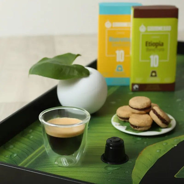 Capsules compatibles Nespresso - Spécial Café Décaféiné