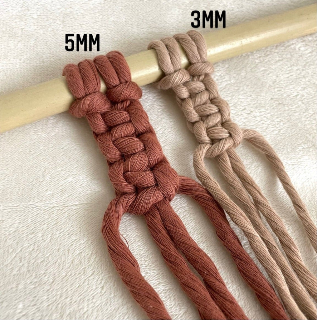 EZ Knot Braided Macrame Cord 6mm-50 yards Beige Texturized Polypropylene 2+  pack