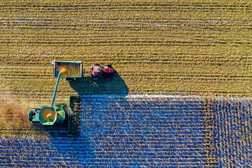 What is glyphosate in cereal