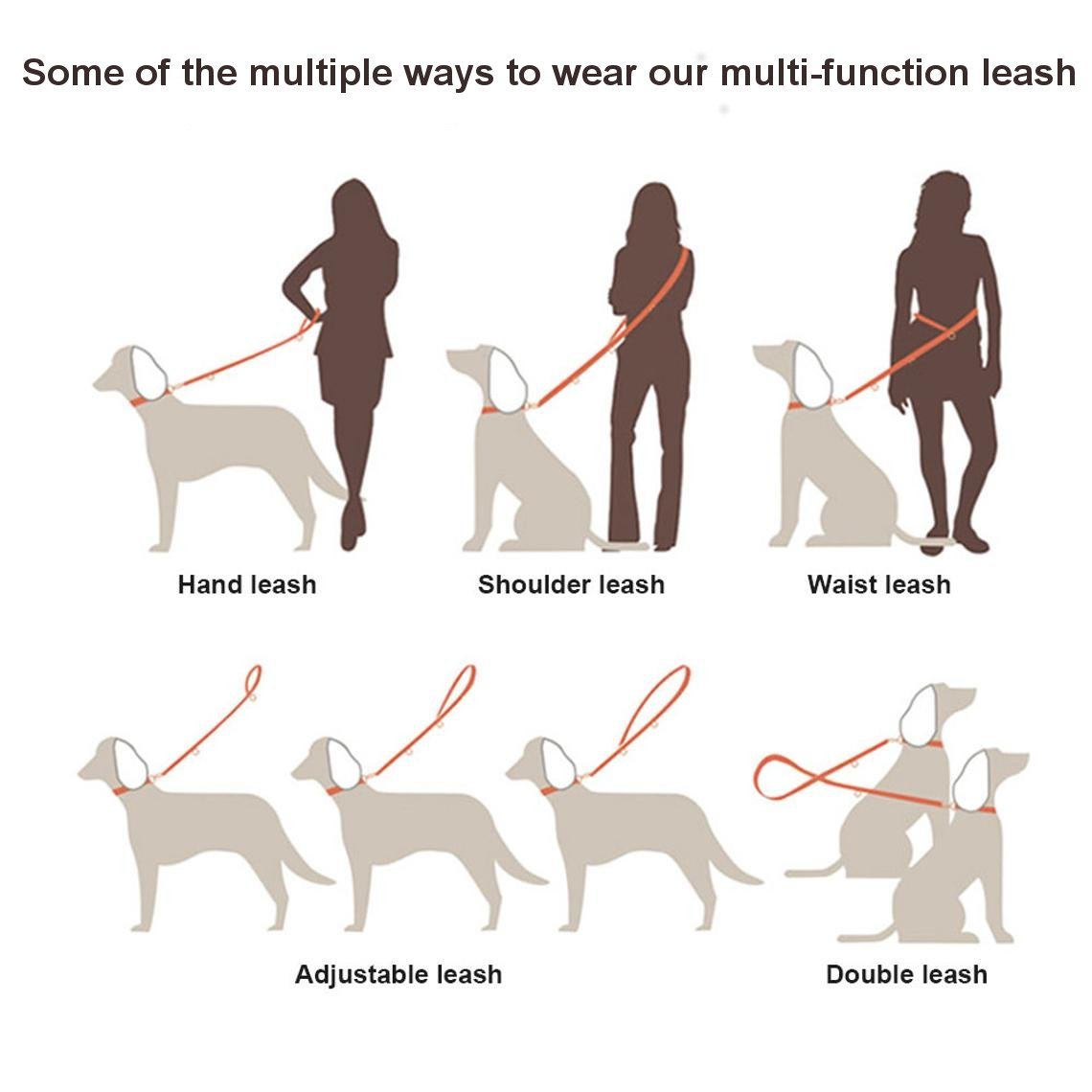 multi function dog lead