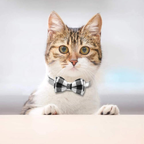 Brown Designer Cat Collar Breakaway - Bow tie Removable Kitten