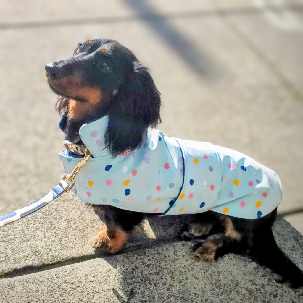 sustainable dog coats