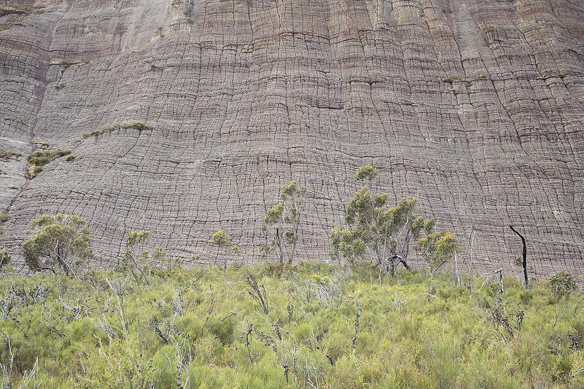 Rockface on the way to Rose Gap from Grampians Peaks Trail.