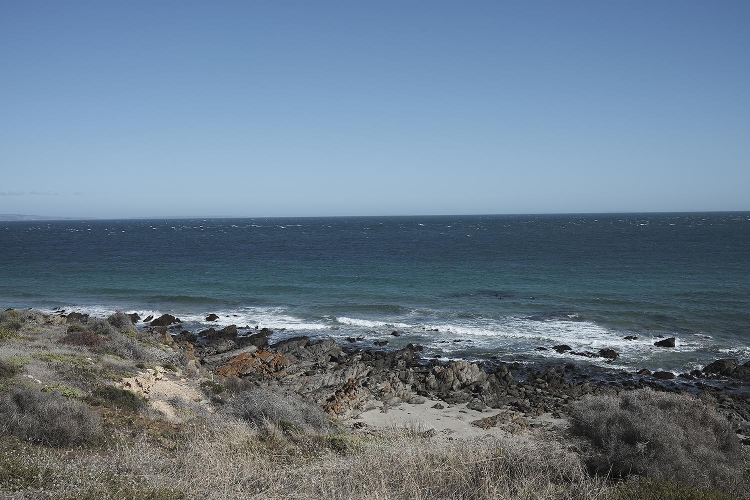 Heysen Trail, Cape Jervis, a pod of dolphins swimming along the beach.