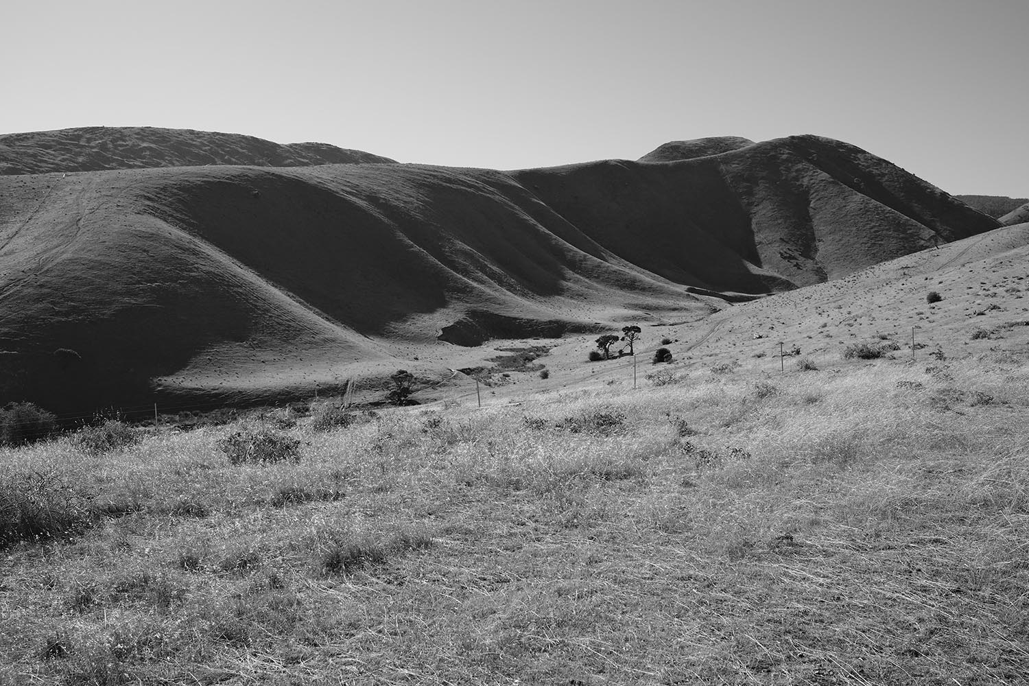 Heysen Trail. Coastal hinterland.