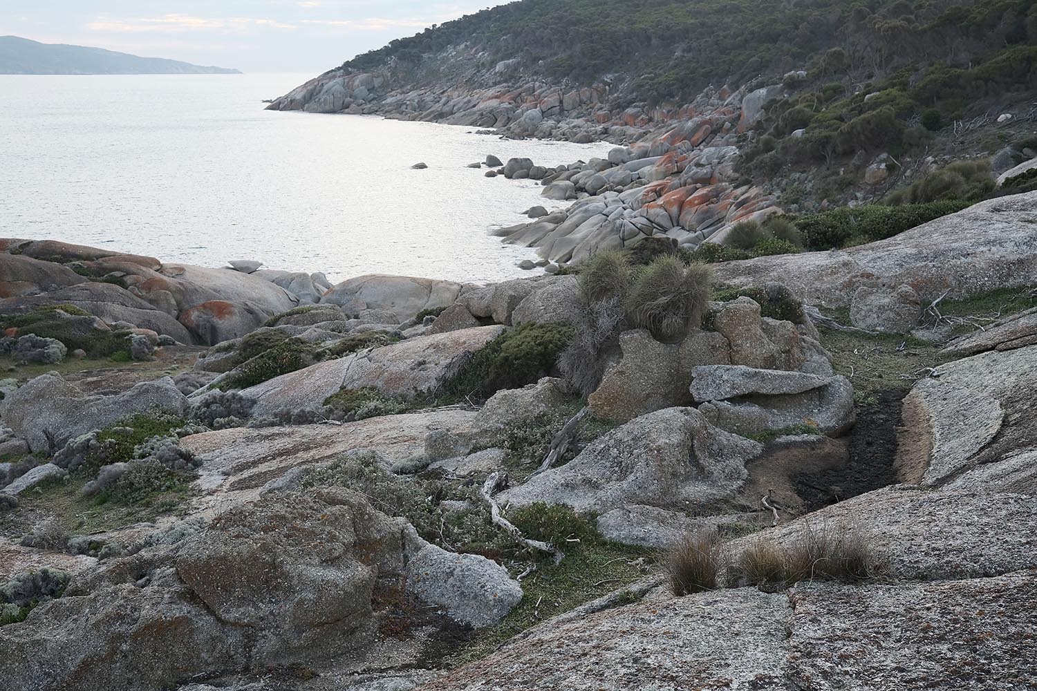 South Point Australia. Wilsons Promontory NP, Austalia.