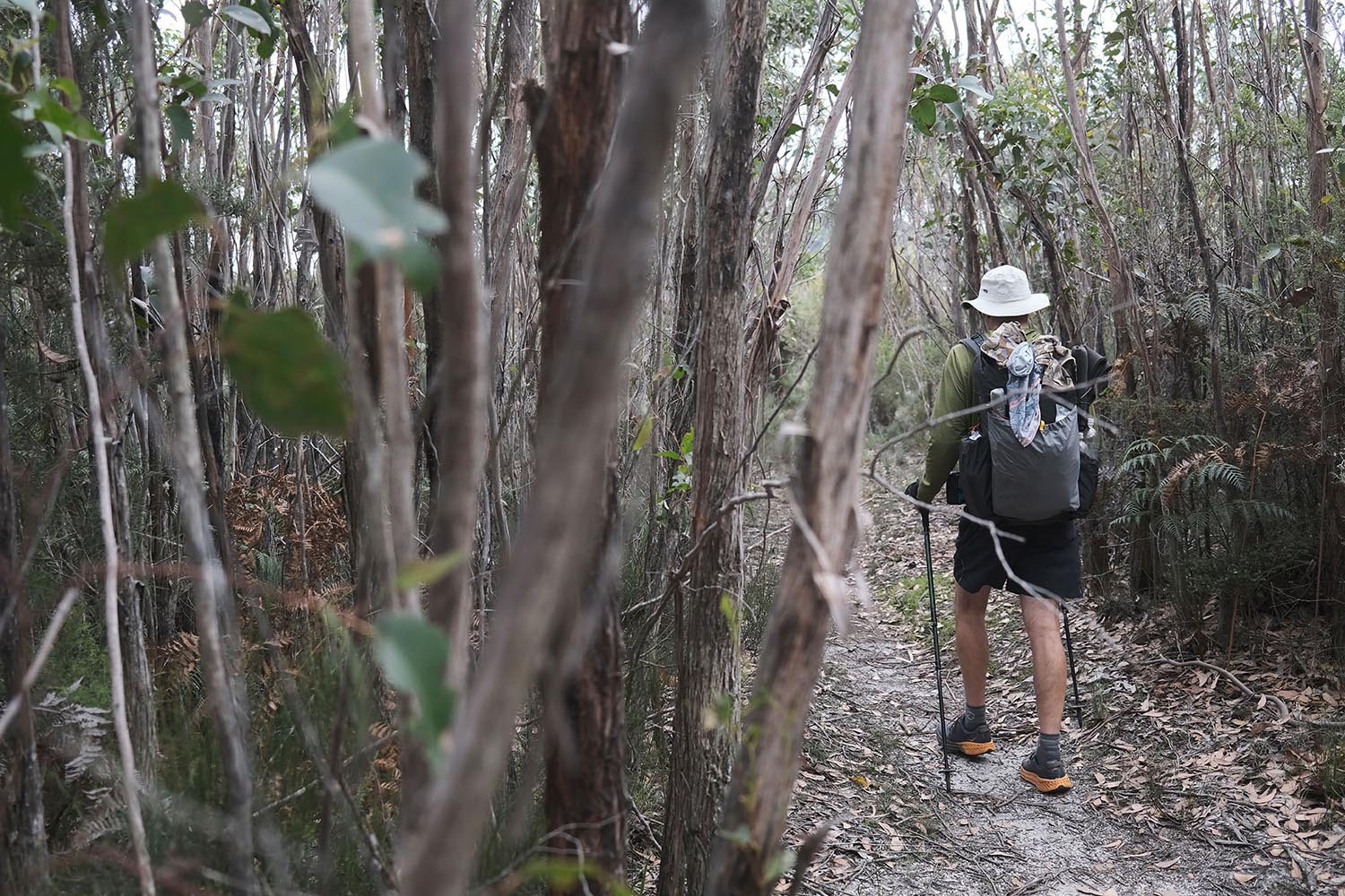 Hiker hiking through Wilsons Promontory bushland with an OrangeBrown OB48 backpack on his back.
