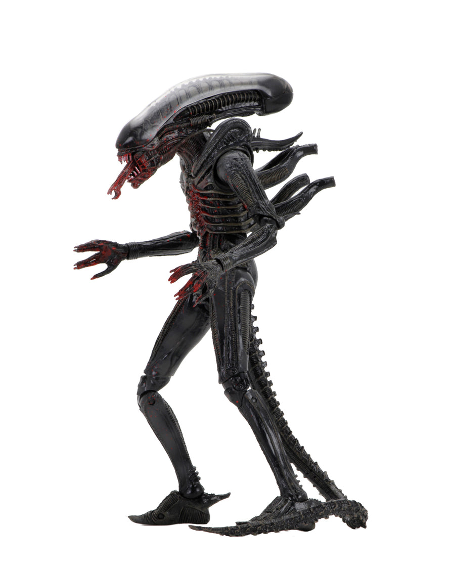 neca alien series