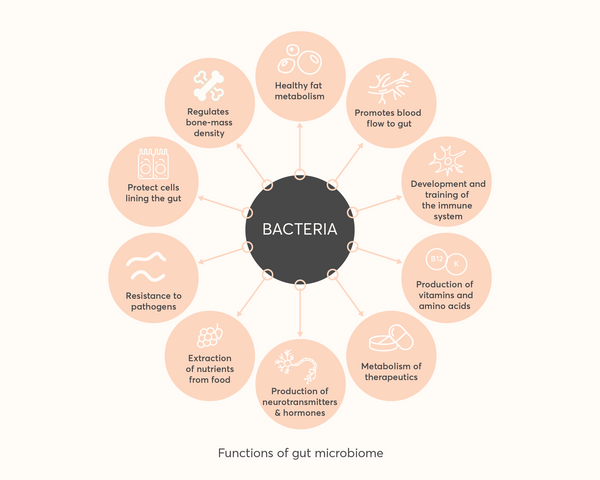 Functions of the gut microbiome