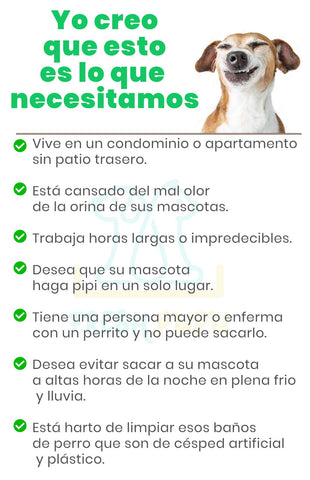 beneficios de un baño de gras natural para perros