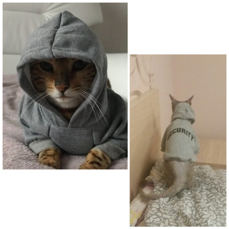 hoodies for cats