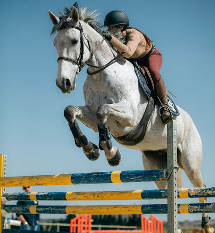 grey horse jumping over an obstacle