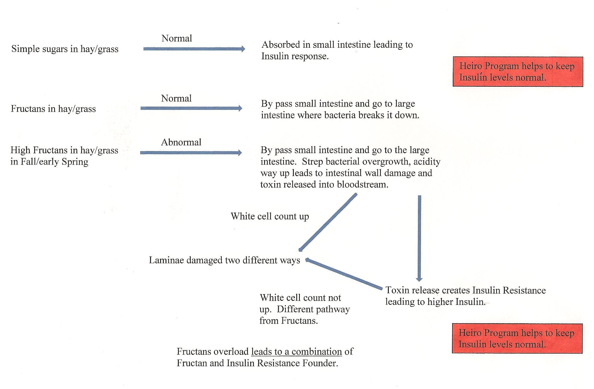 Insulin Needs During Pregnancy Chart