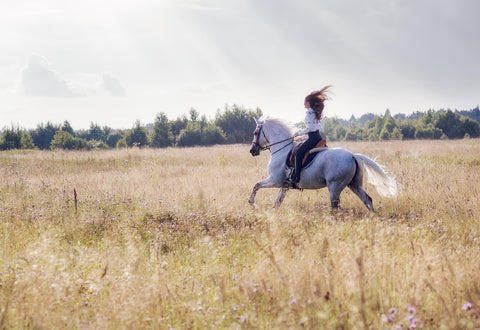 Woman horseback riding in spring field