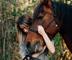 A girl holding a horse with bushes in the background