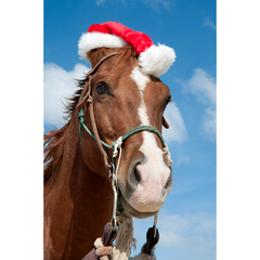 A horse adorned with a festive Christmas hat, gazing forward against the backdrop of a clear blue sky.