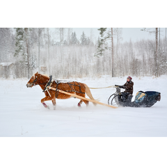 A picturesque scene featuring a person seated on a sleigh, being pulled by a brown horse through a serene winter landscape blanketed in heavy snow.
