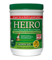 Heiro from Equine Med Surg stands as a beacon of comprehensive care for your equine companion.
