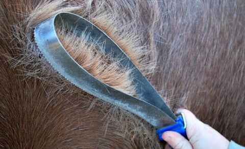 Horse shedding comb
