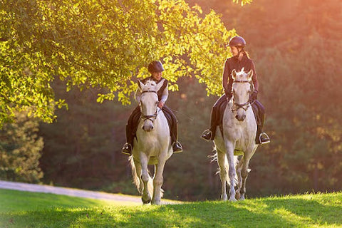 Two horseback riders
