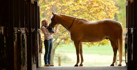 Woman petting horse in stable