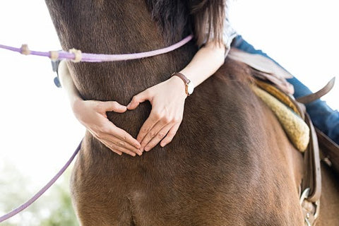 Heart hands around horse neck