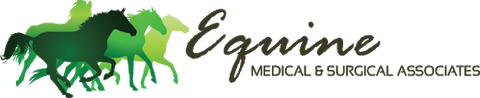 Equine Medical and Surgical Associates Logo