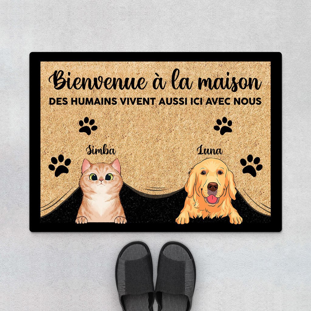 tapis entrée chat