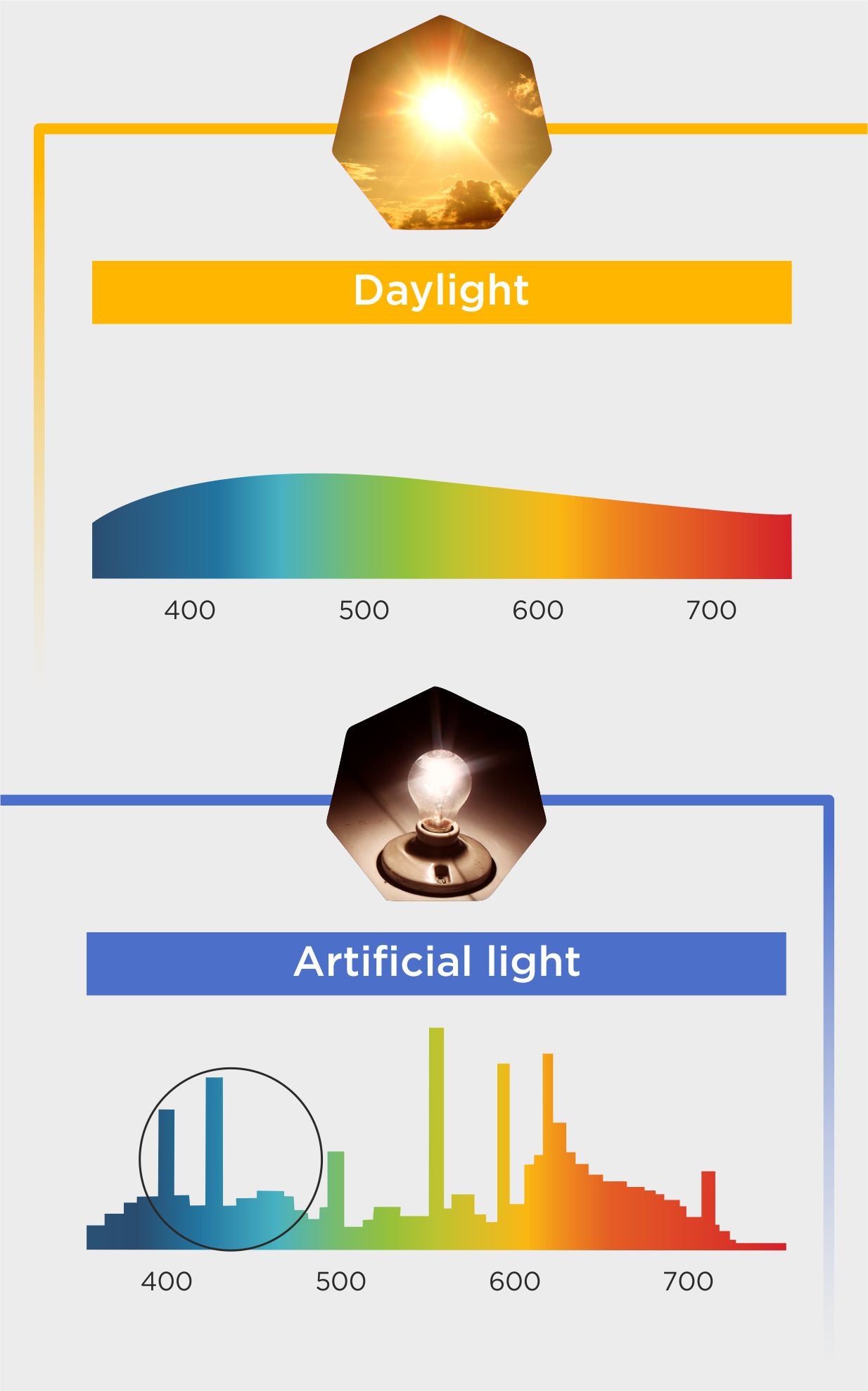 Infographics