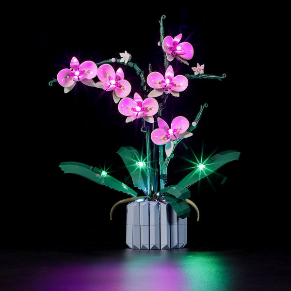 Lightailing Light for Lego-10311 Orchid - LED Lighting Kit Compatible with Lego Building Blocks Model - Not Included The Model Set