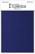 Signature Royal Blue Fabric Swatch